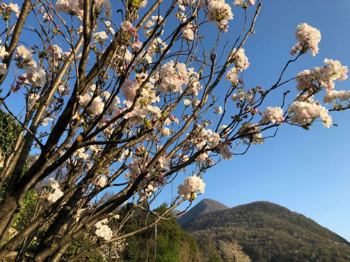 Holiday home Eden Sul Lago Di Como *