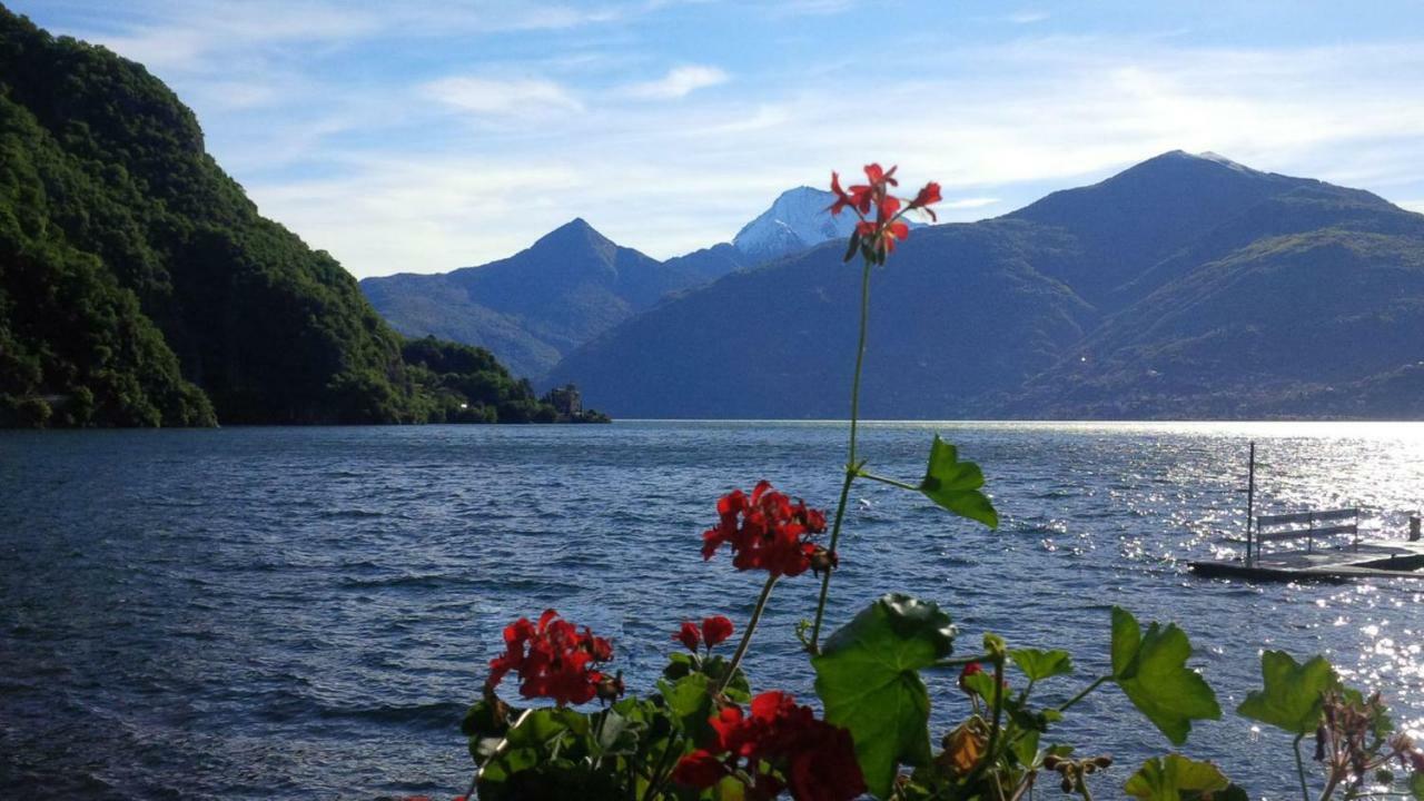 La Finestra Sul