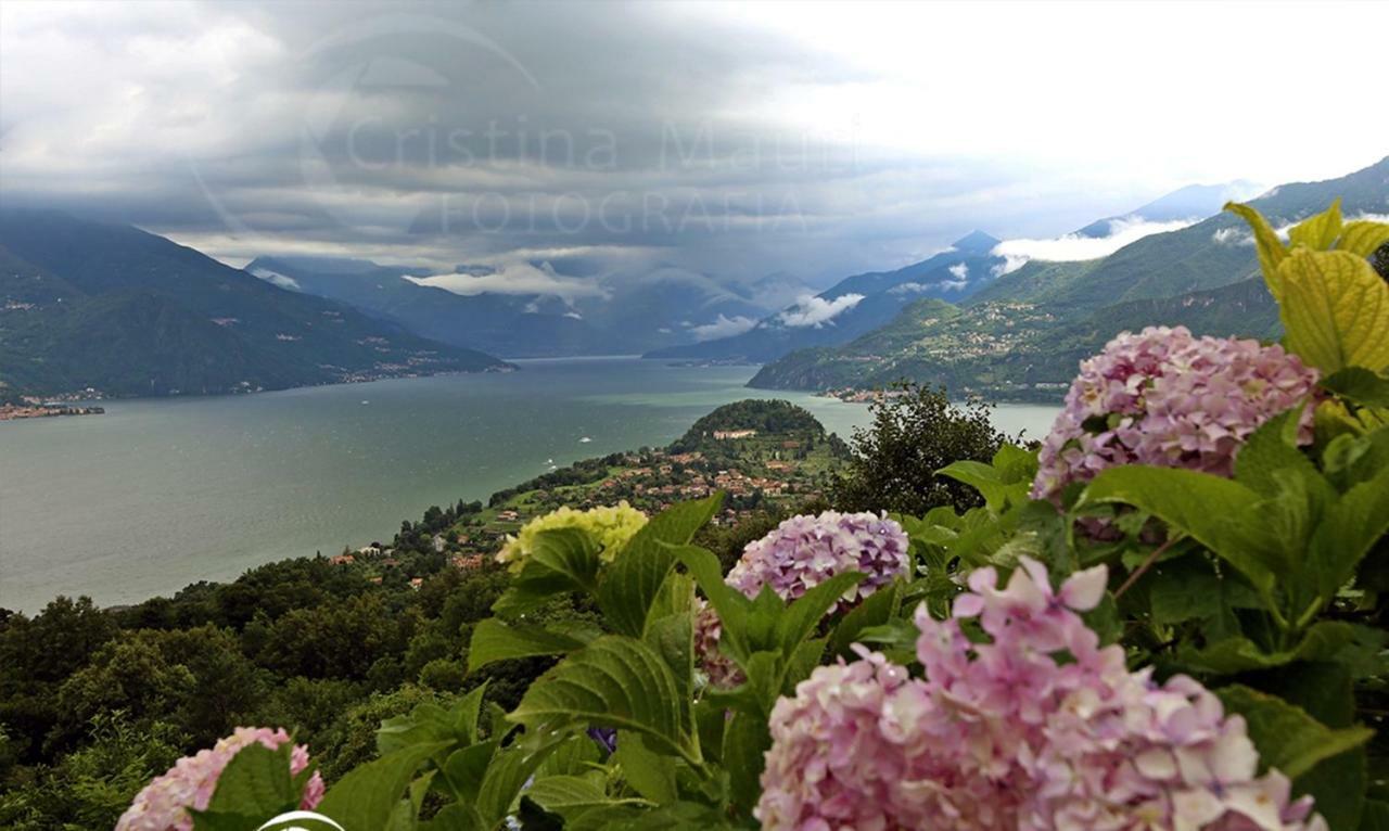 Appartamento Dreams Apt, Pool, With Private Garden, Near