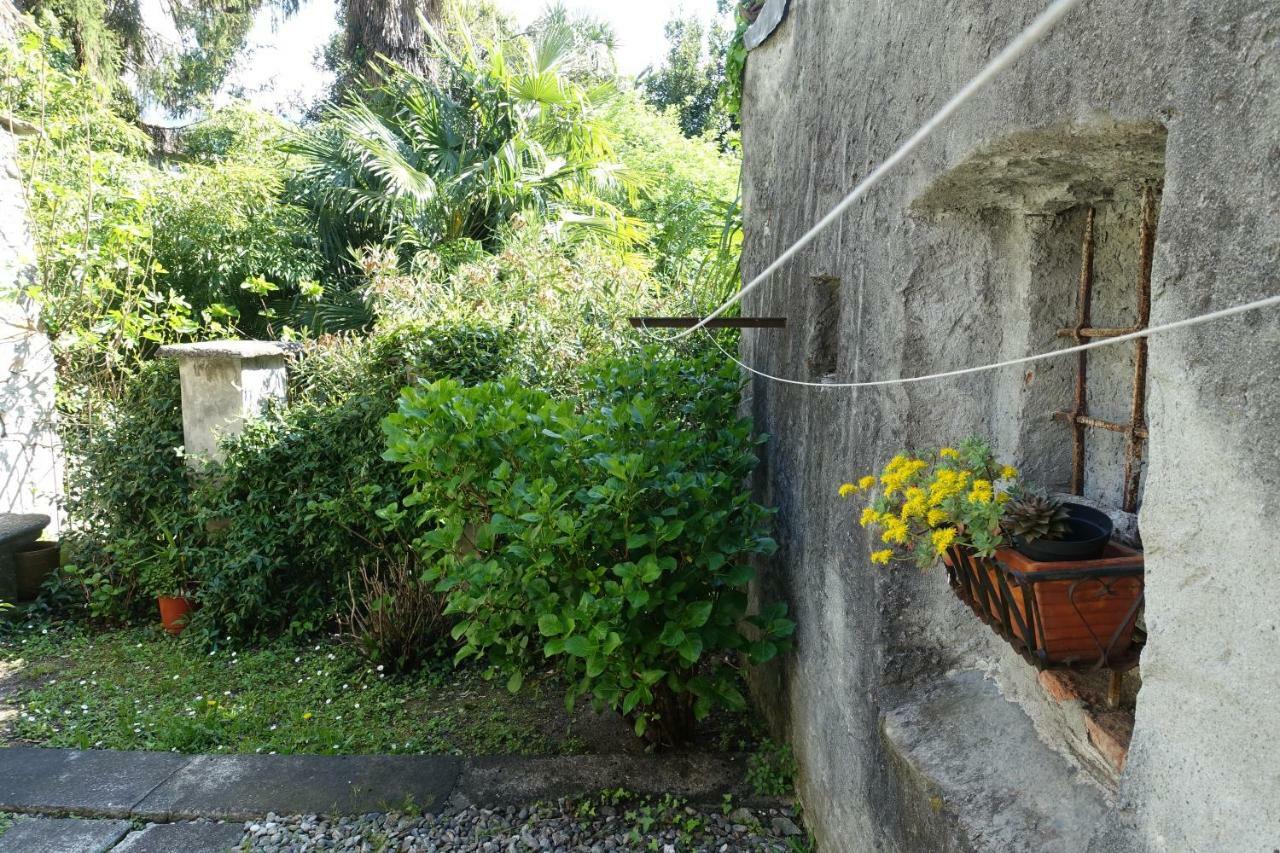 Apartment House Of Cats Domaso
