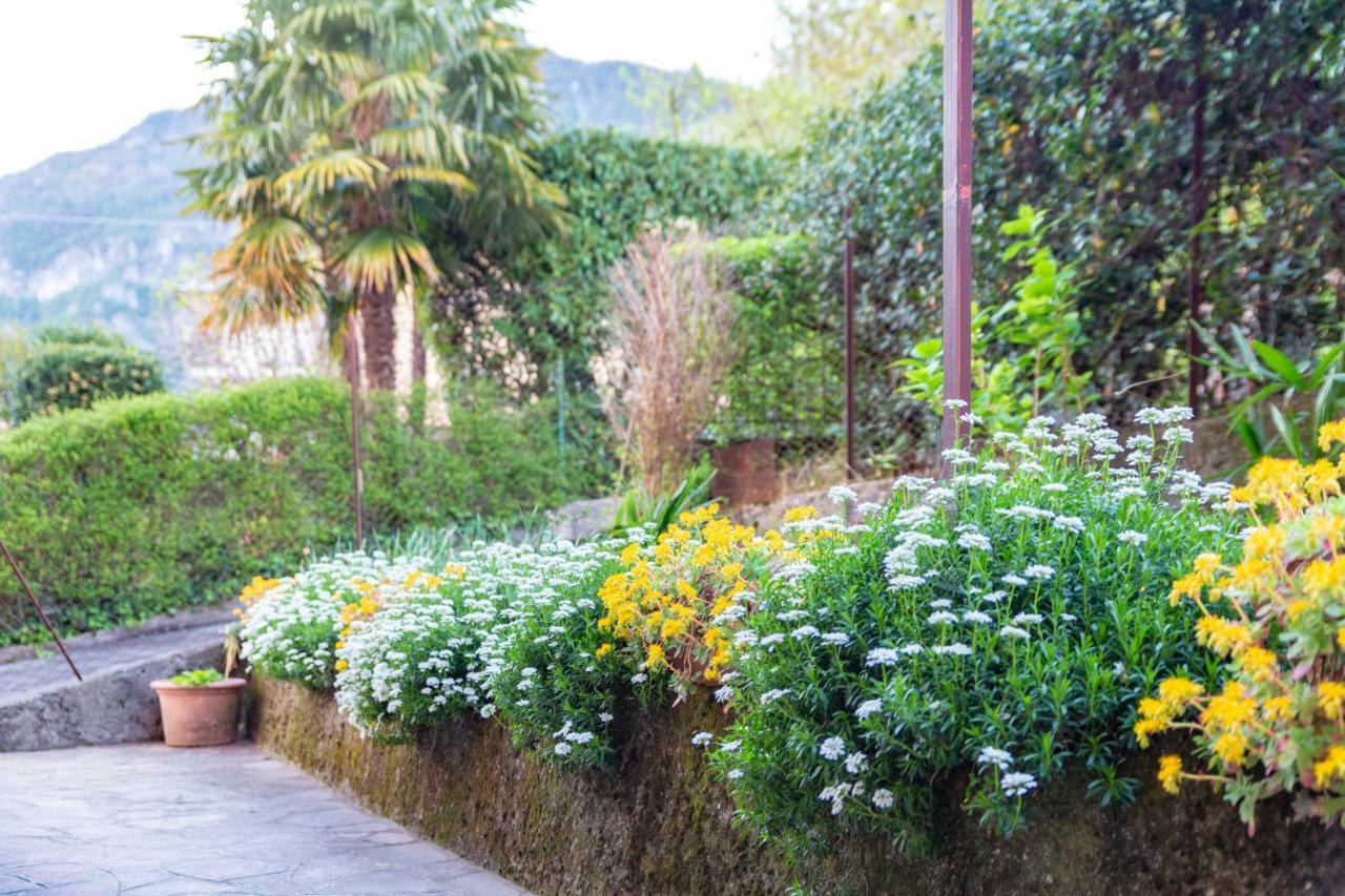 Casa Alice Apartment Lierna