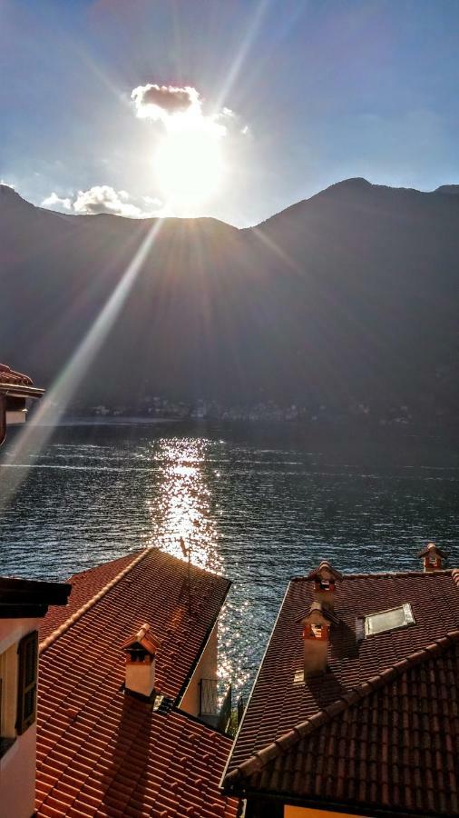 Lake's Sound Nesso