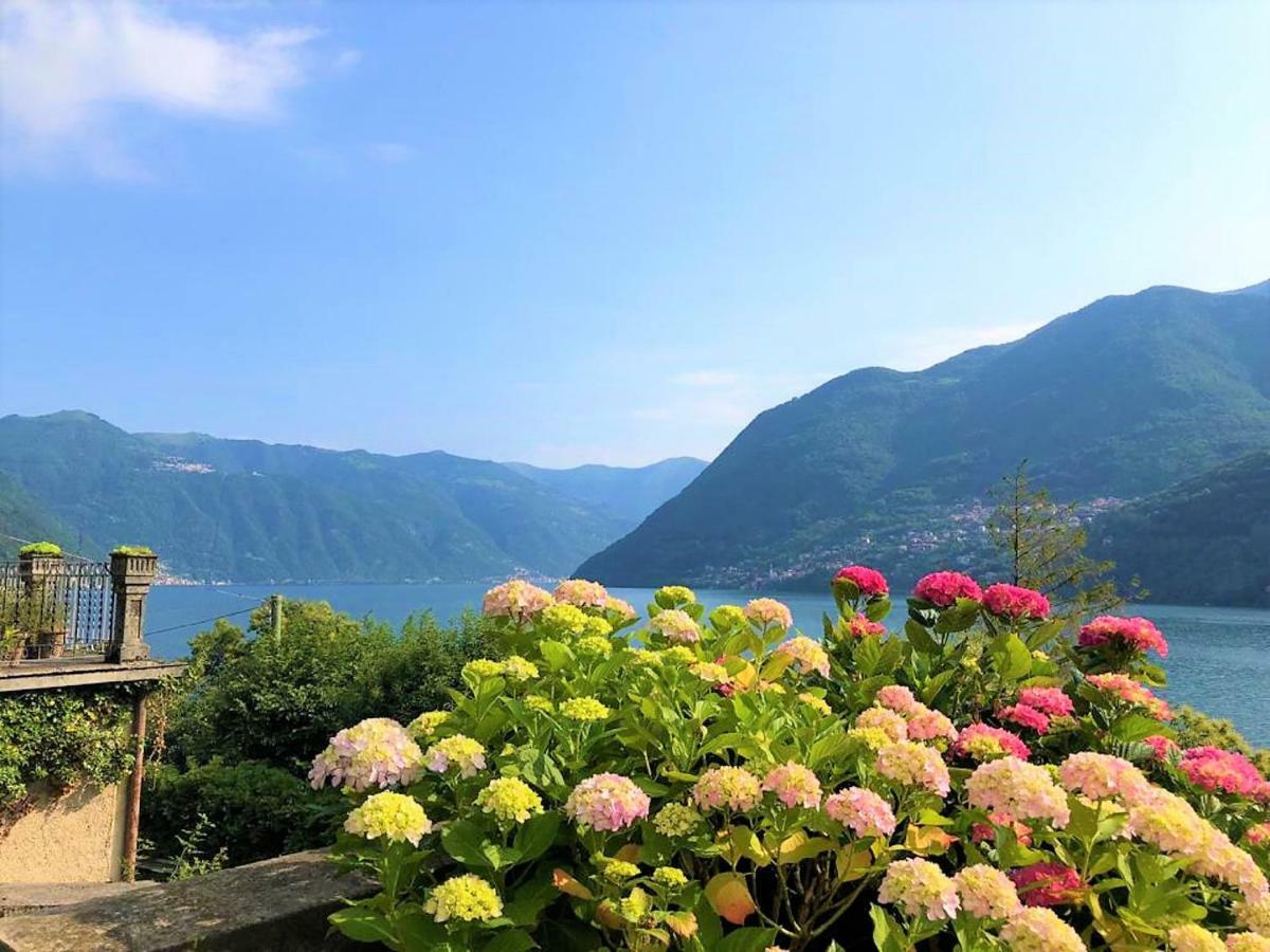 Ortensia Villa Laglio