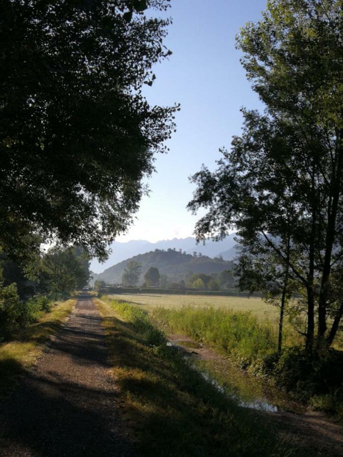 Appartamento Laurus Ivan Dubino