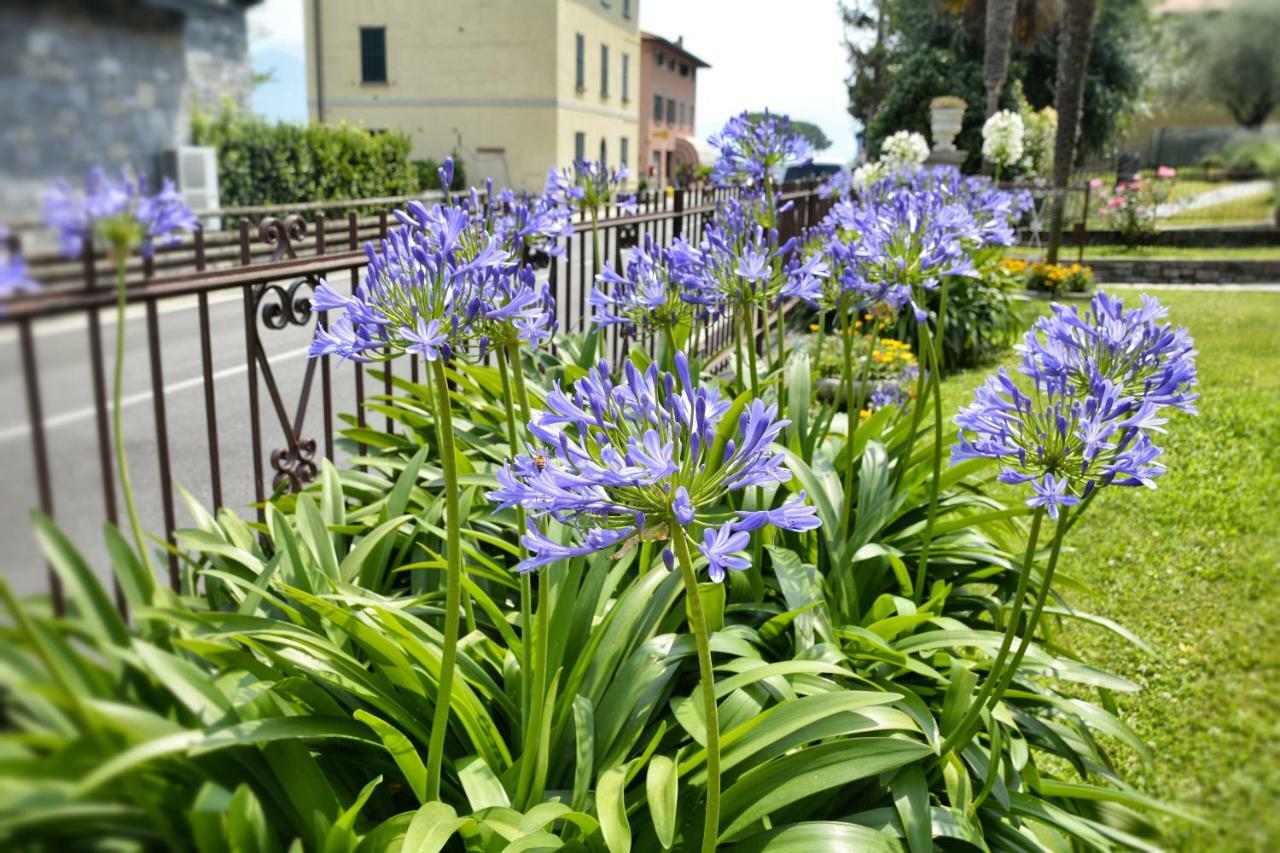 Giardino Fiorito *