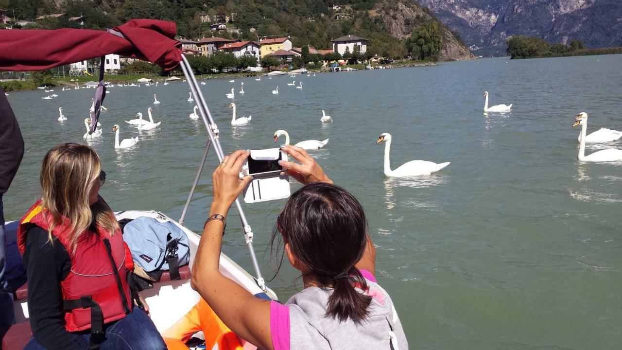 Casa vacanze Foreground - Pet Friendly Stay- Garden-parking-lake View- Bike Friendly House Colico