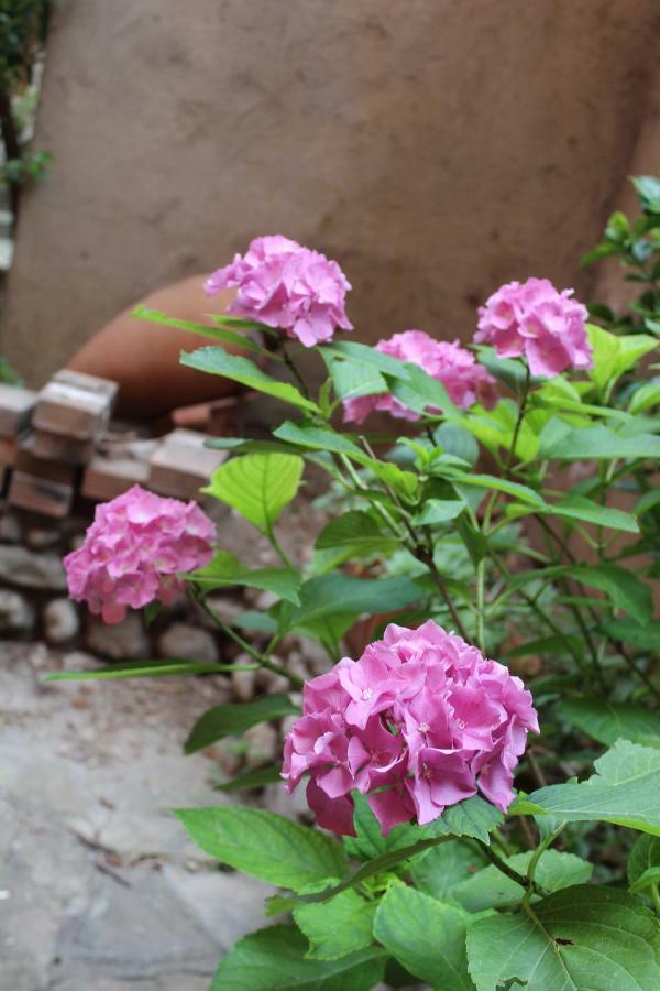 Apartment Il Giardino Dei Fiori
