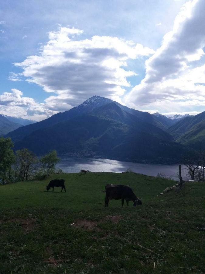 Appartamento Piccolo Paradiso Pianello Del Lario