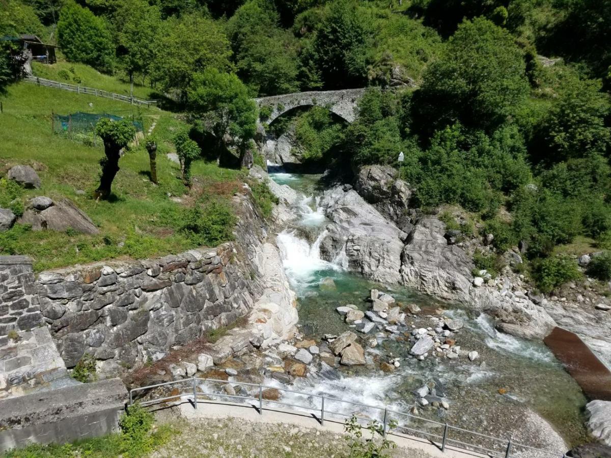 Ulivi On The * Dongo