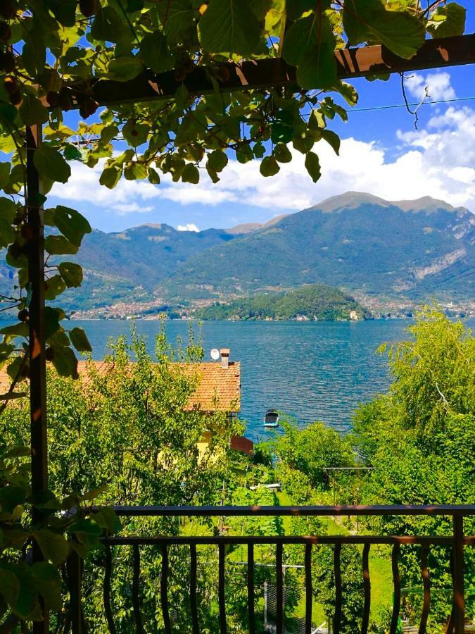 L'agrifoglio Apartment