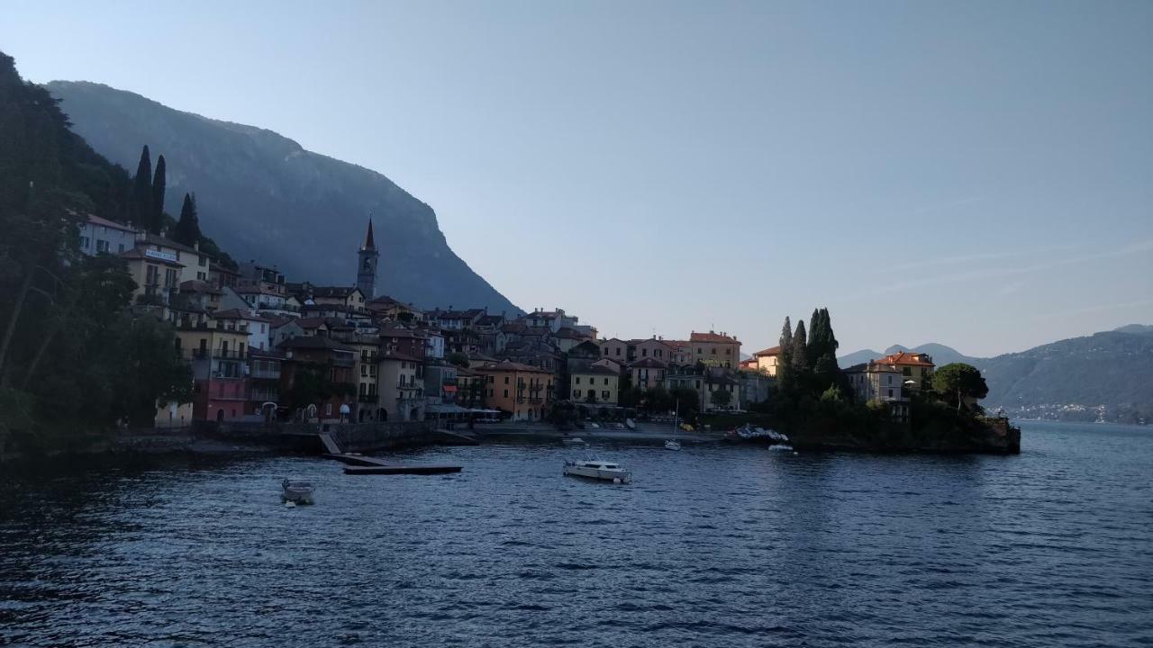 Ulivi On The * Dongo