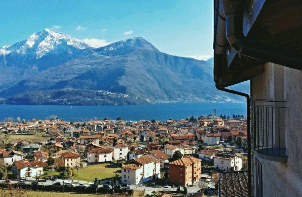 Apartment Ulivi On The