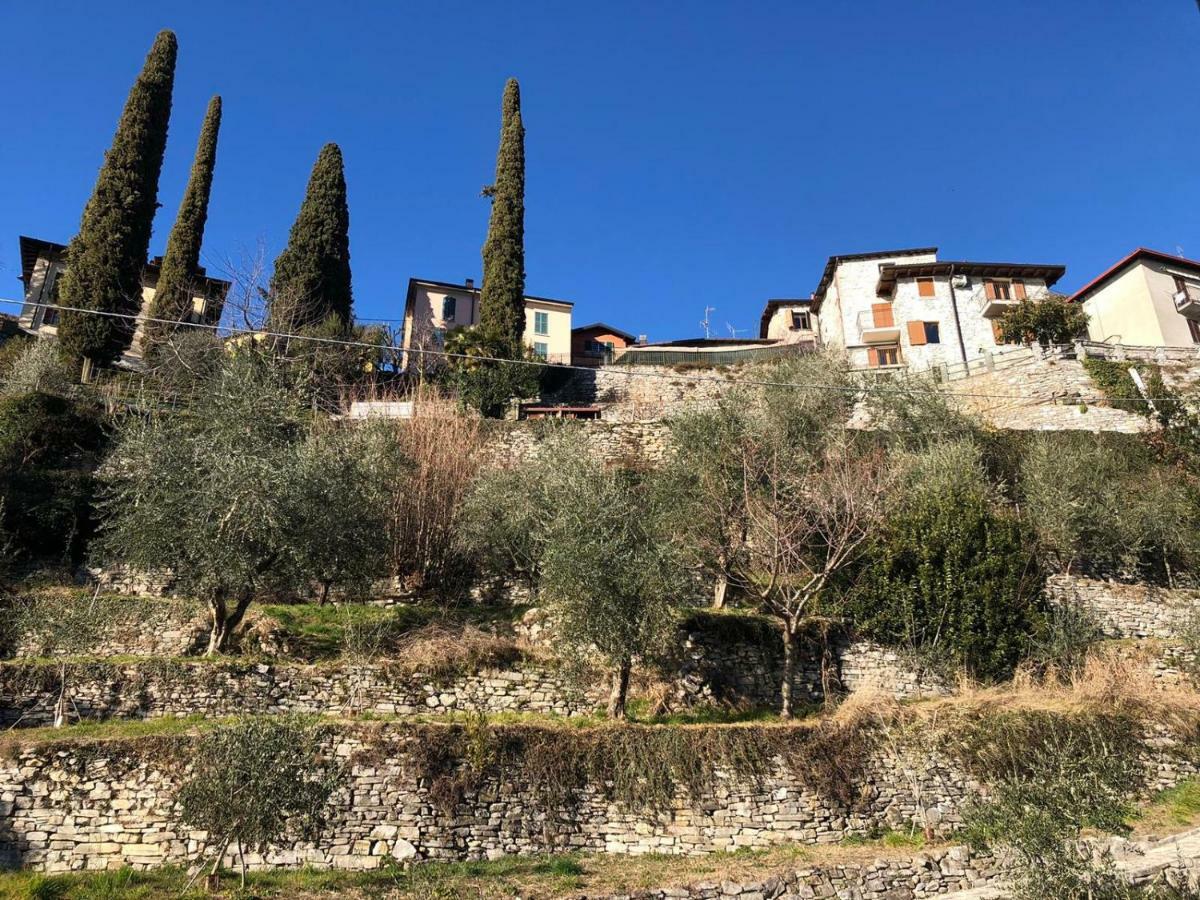Appartamento Carate 16 With Balcony & Lake View Carate Urio