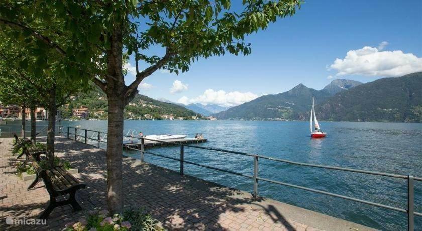 Apartment Camilia 13 *