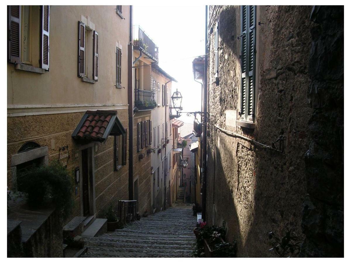 Camilia 13 * Acquaseria