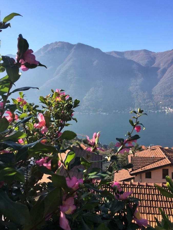 Apartment Casa Lucia Nesso