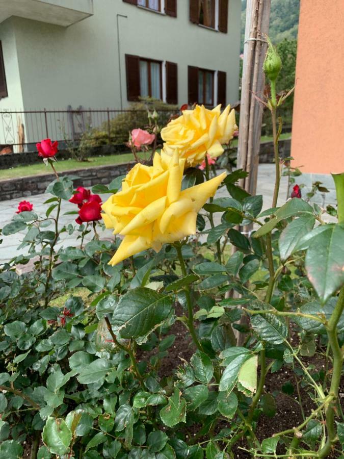 Giardino Fiorito Apartment San Siro (Lombardy)