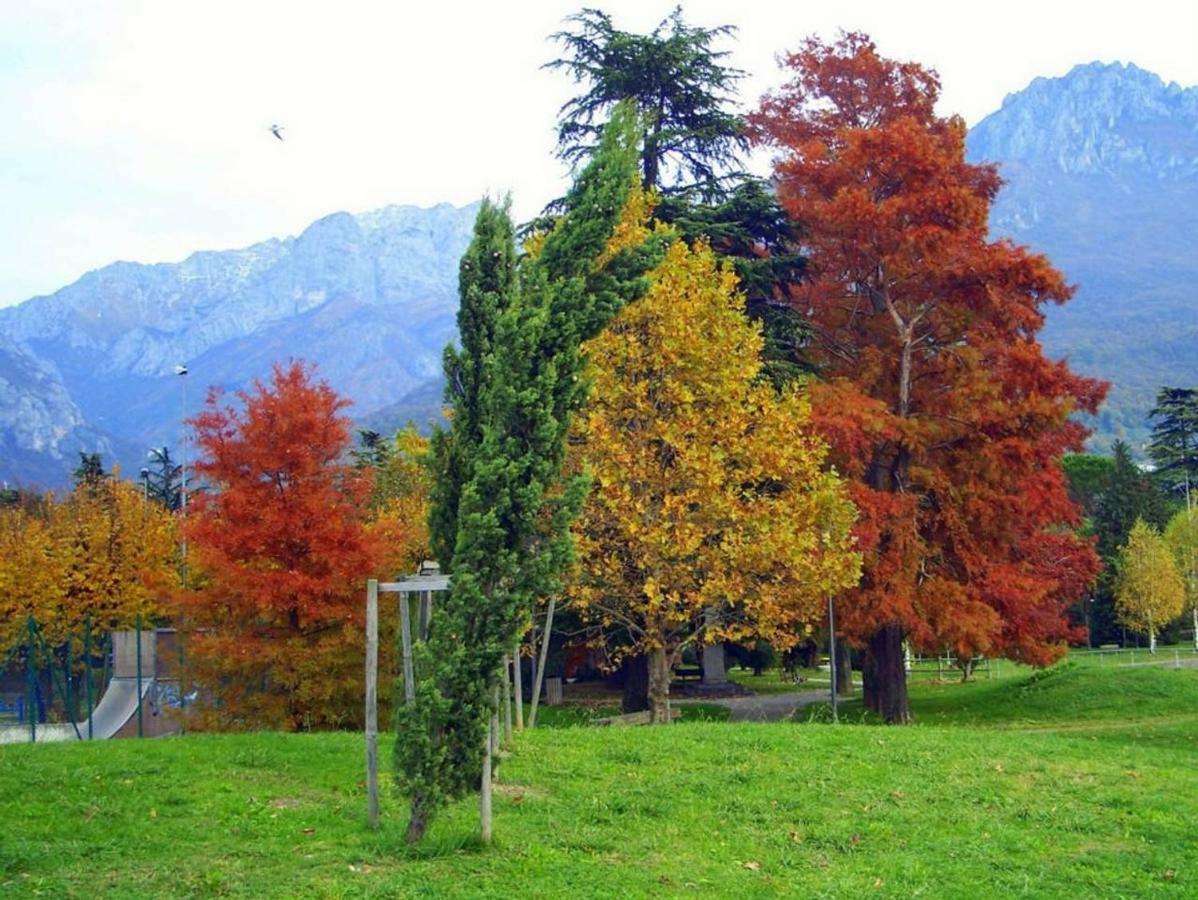 La Dimora Del Viandante - Apartment