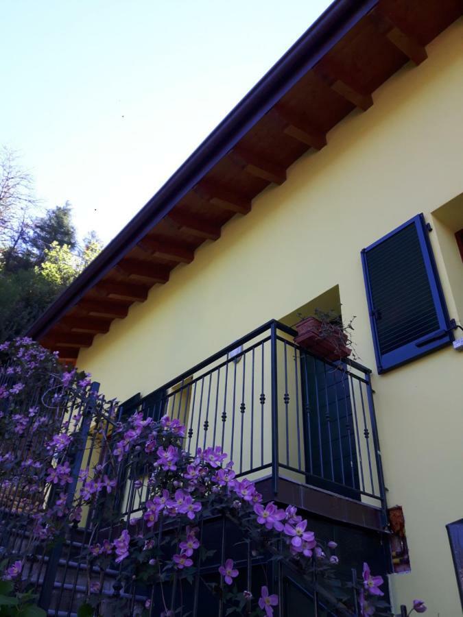 Balcone Dei Limoni *
