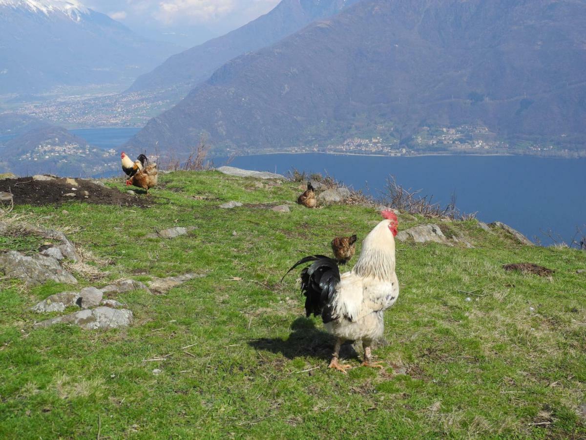 Piccolo Paradiso * Pianello Del Lario