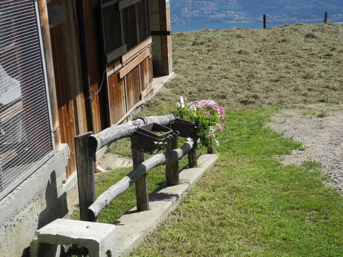 Piccolo Paradiso Appartamento