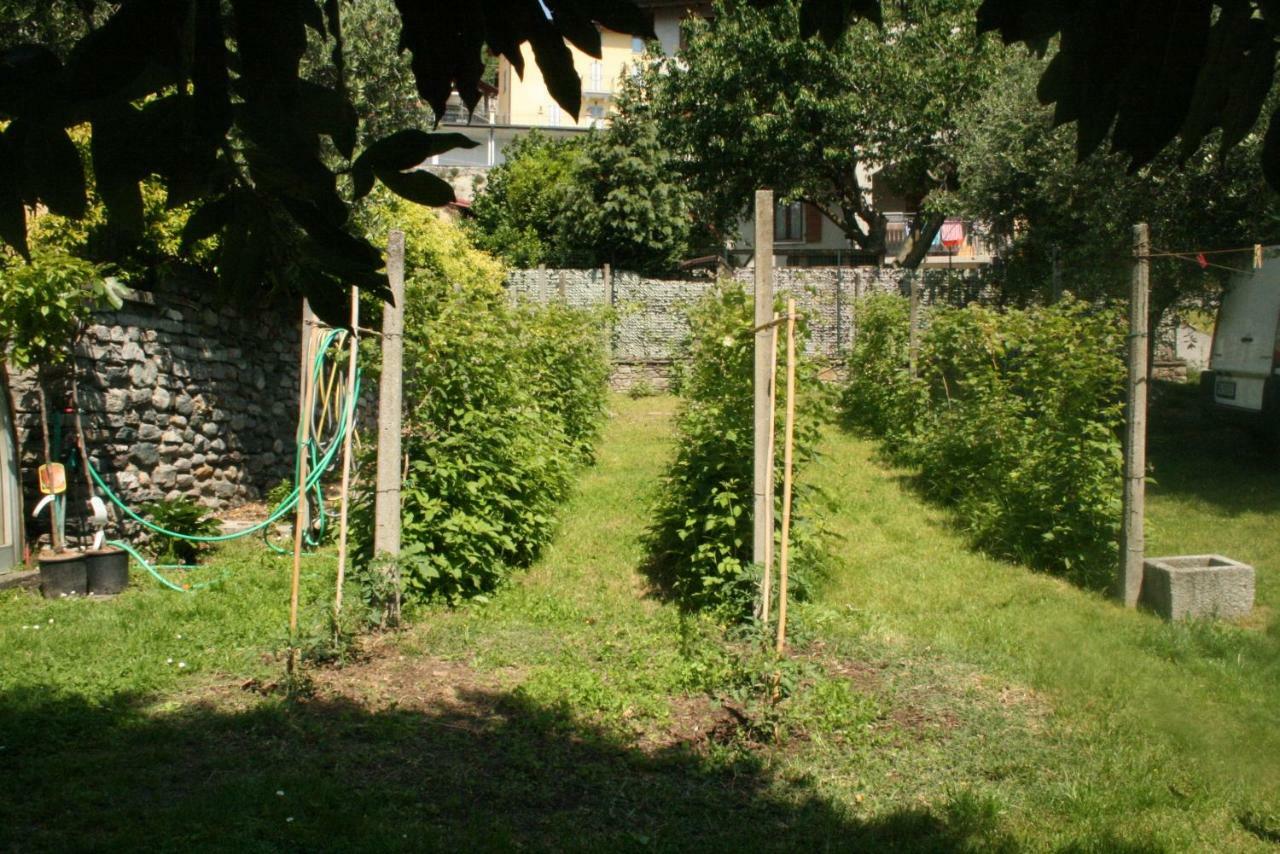 Apartment Badalone Domaso