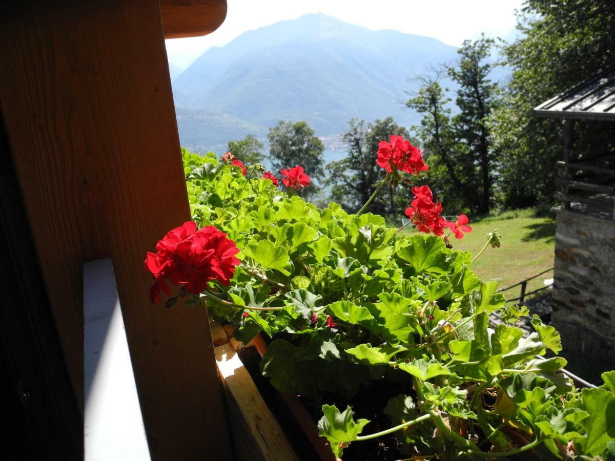 Piccolo Paradiso Apartment *