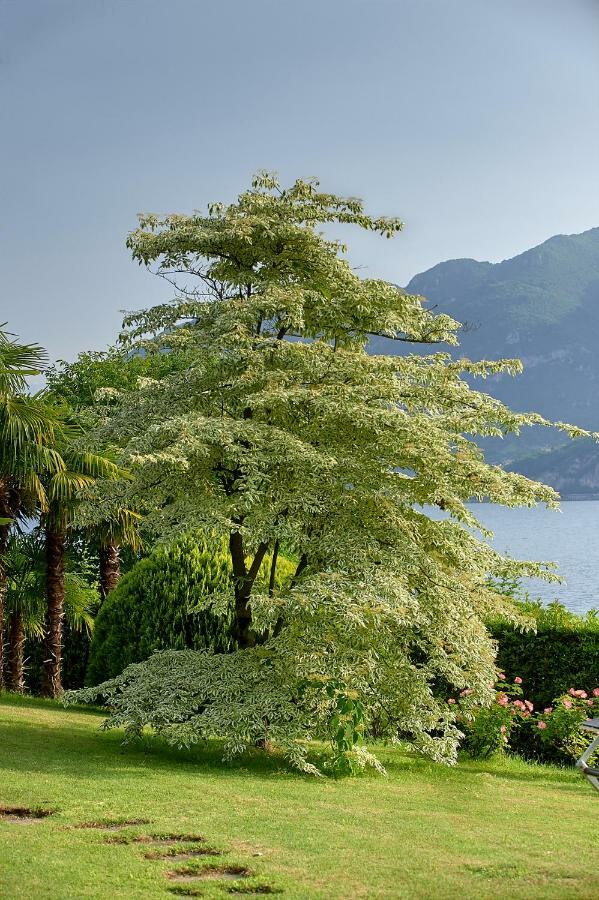 Bed & Breakfast Ucci Onno