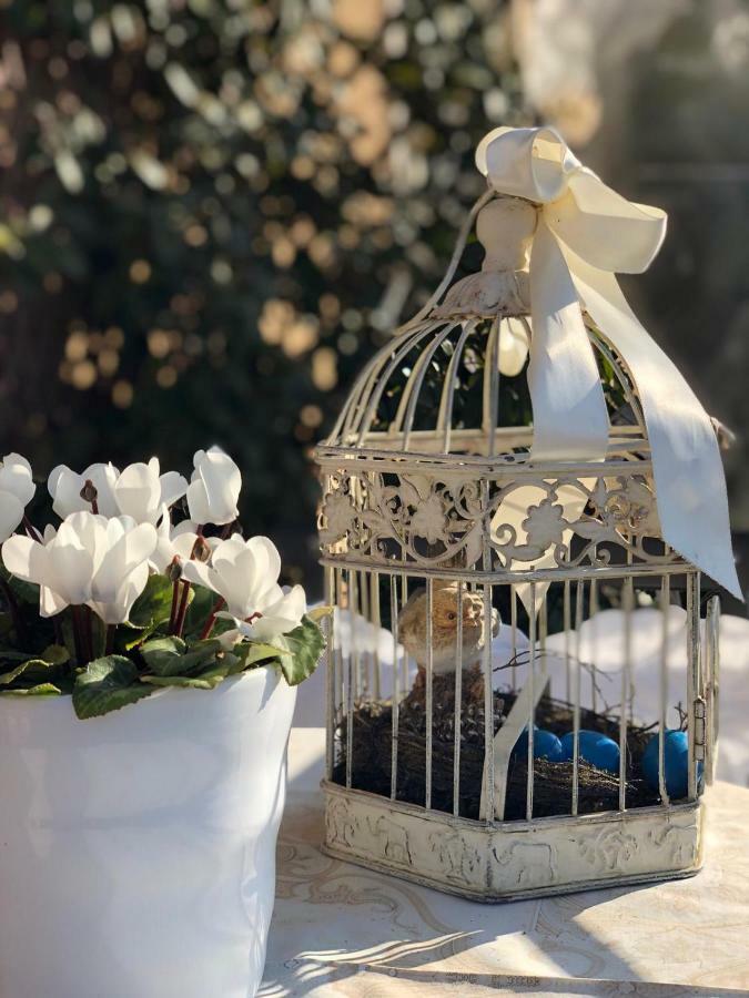 Bed & Breakfast Il Nido