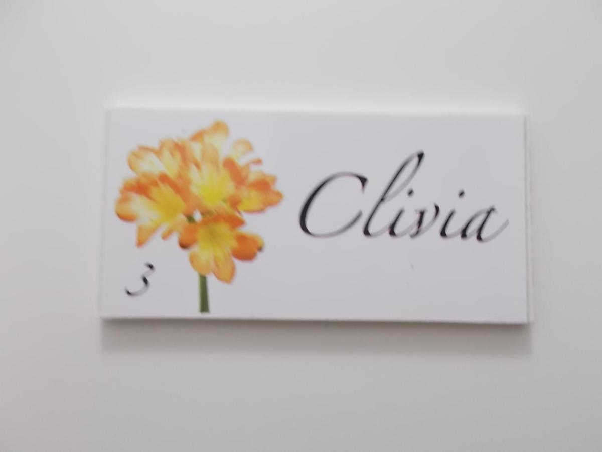 Zia Lina *