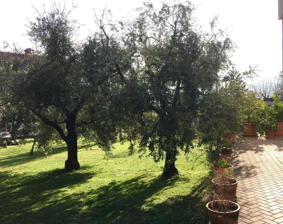 Apartment La Casa Degli Ulivi Lierna
