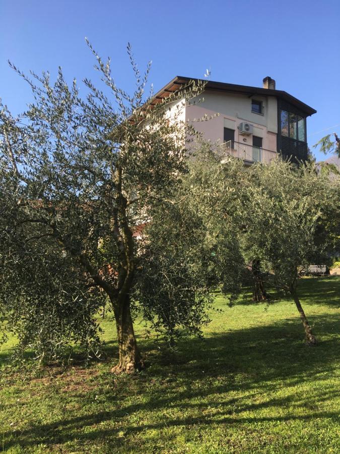La Casa Degli Ulivi Apartment