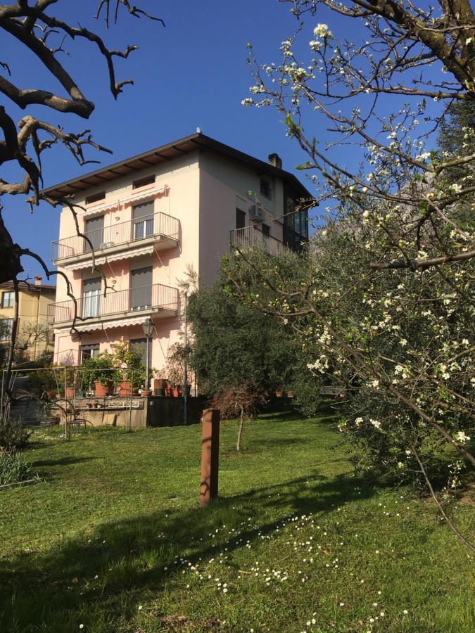 Apartment La Casa Degli Ulivi