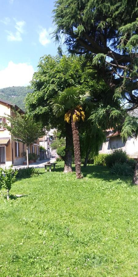 Bellavista *