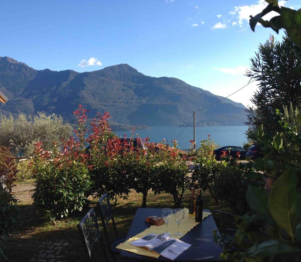 La Collina Aparthotel 3*