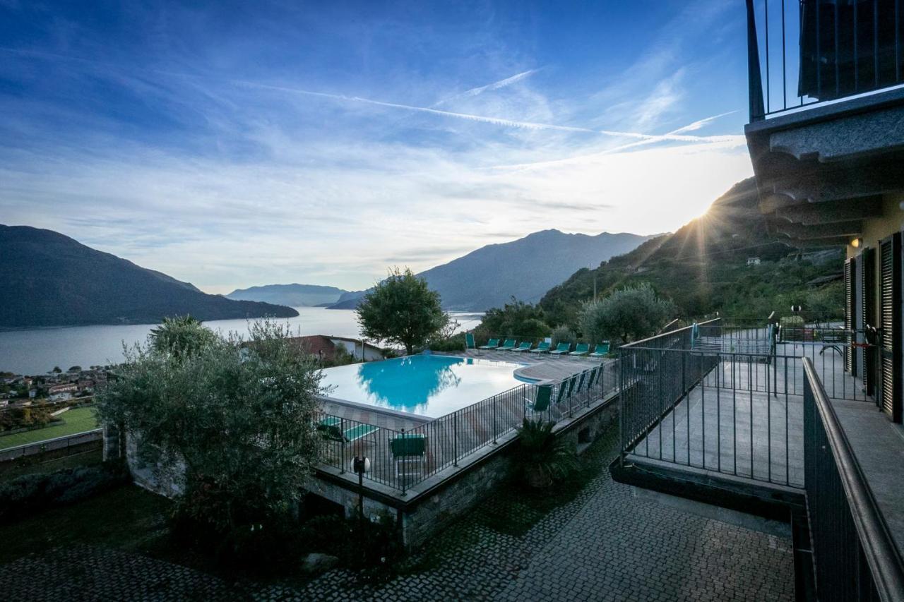 La Collina Degli Ulivi *