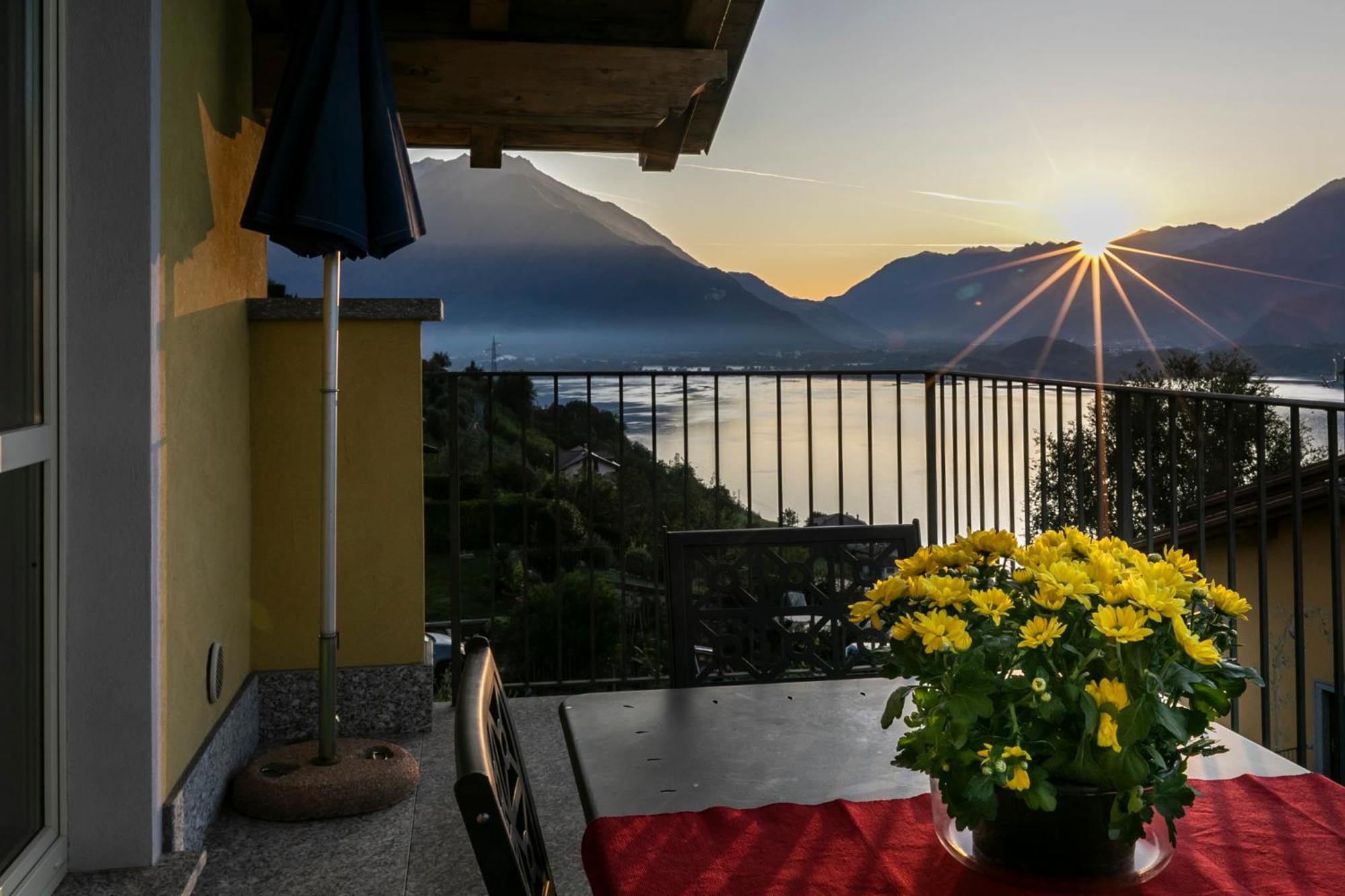 La Collina Degli Ulivi Apartment *
