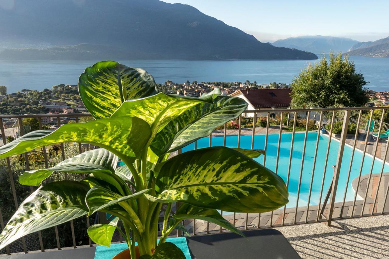 Apartment La Collina Degli Ulivi Vercana