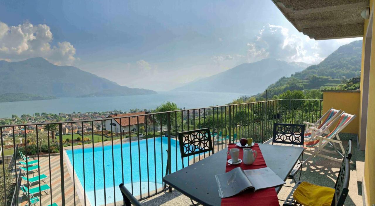Apartment La Collina Degli Ulivi