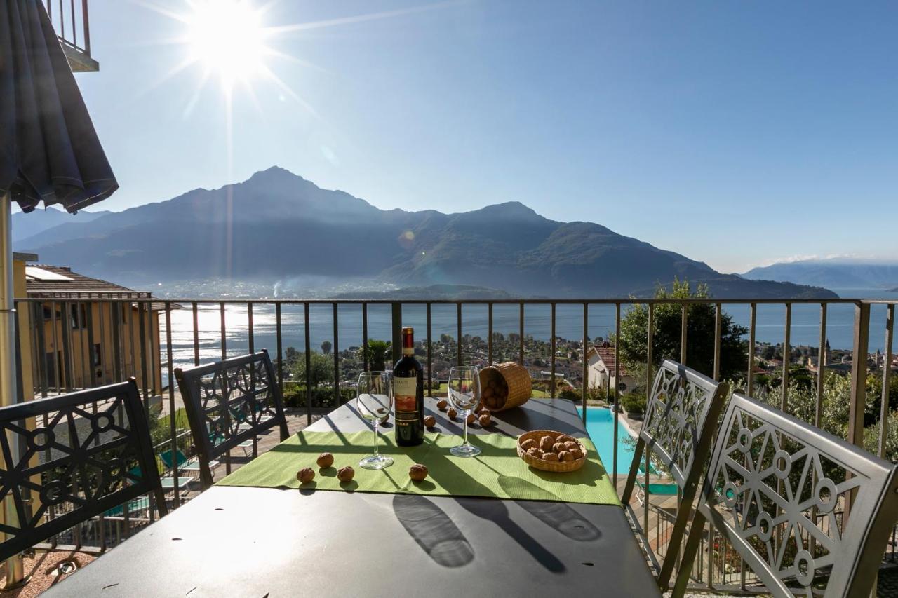 La Collina Degli Ulivi Vercana