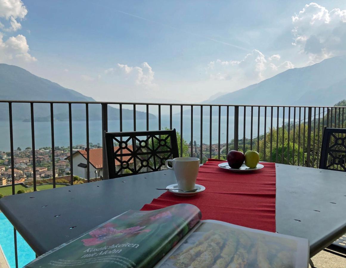 Apartment La Collina Degli Ulivi