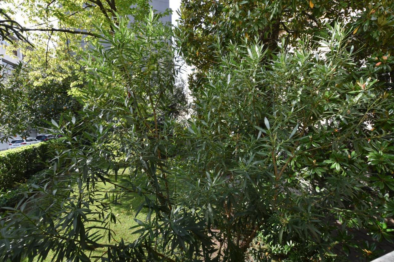 Lake Como Holiday Apartments