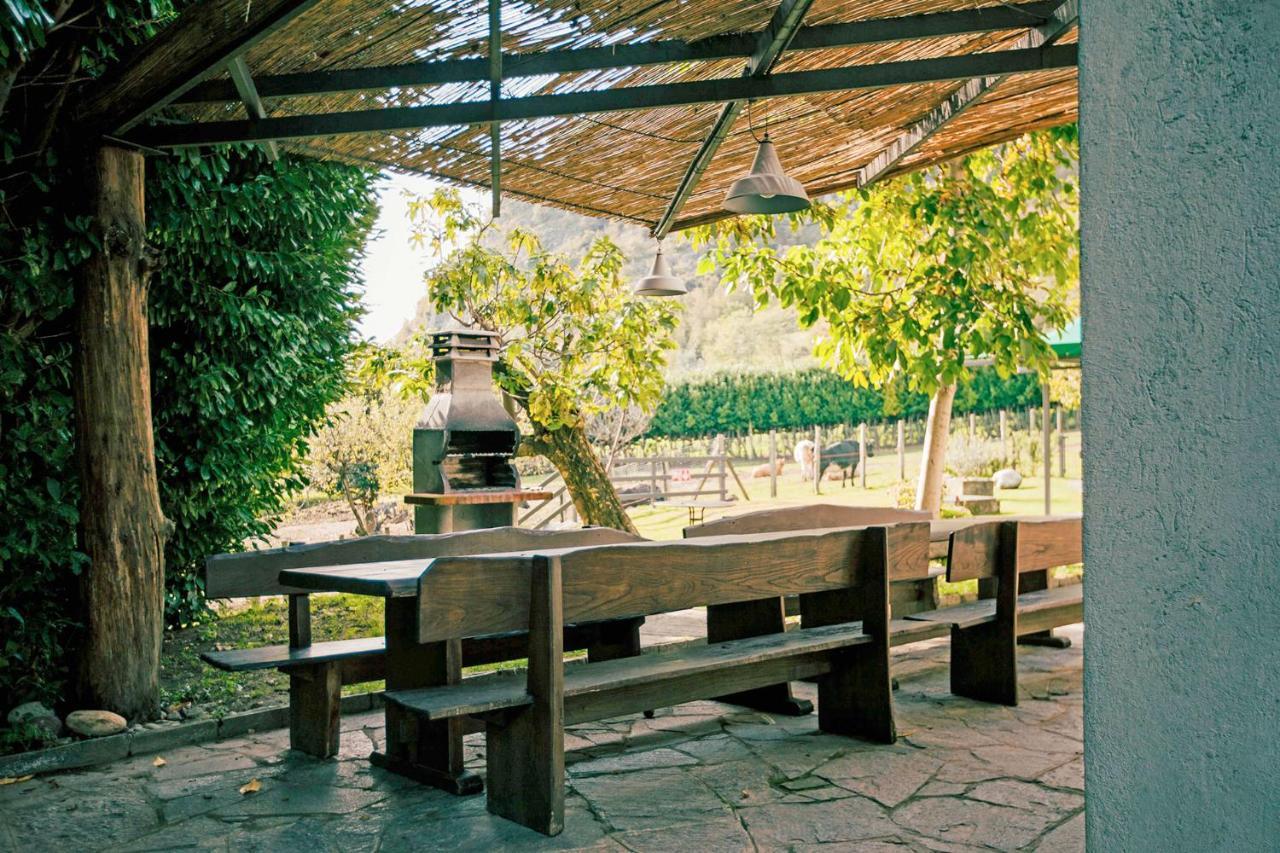 Podere Brughee *
