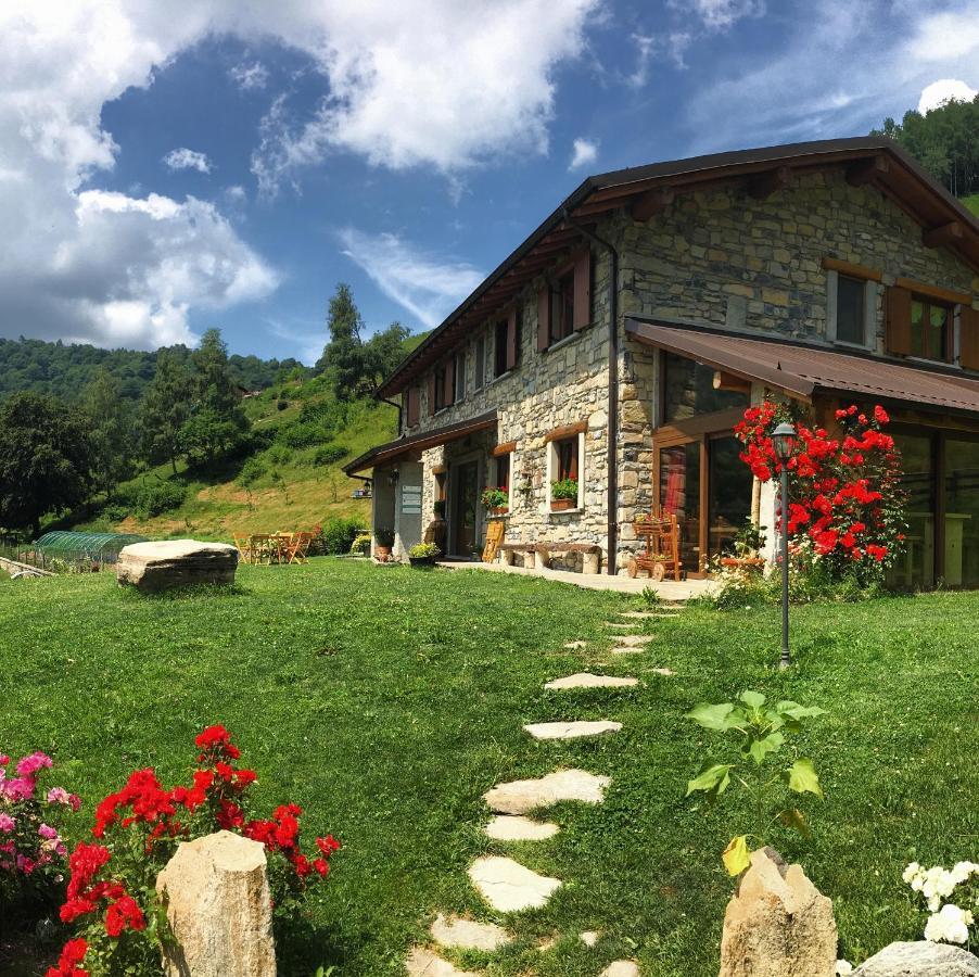 Le Radici Farm stay