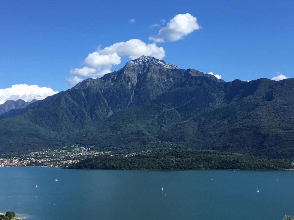 Panoramic View