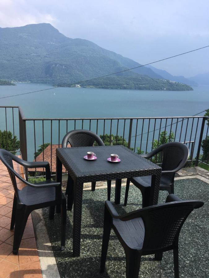 Panoramic View *