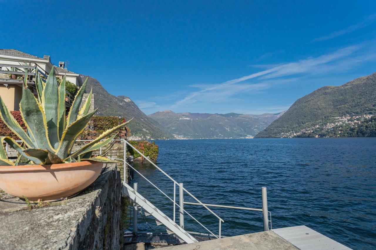 Apartment Your Private Harbour On By Rent *