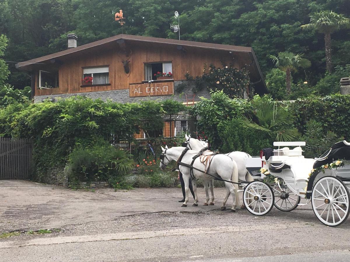 Al Cervo Tra I Laghi