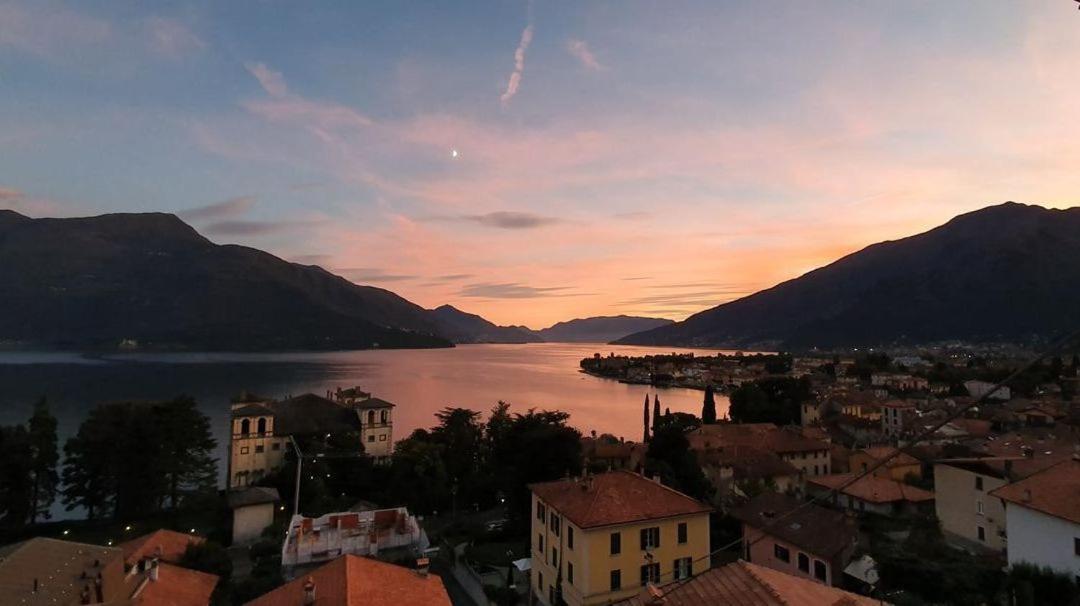 Panorama *