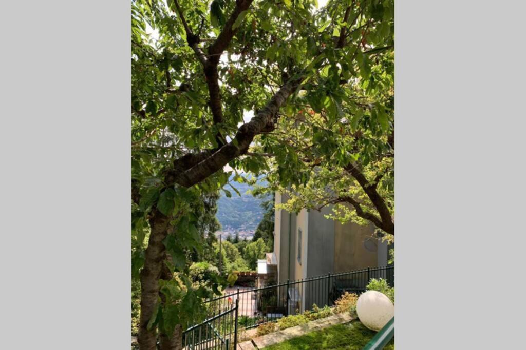 The Cherry Garden House Loft Lusso